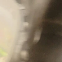 画像374